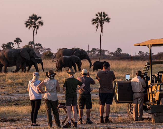 TnT Safari Package
